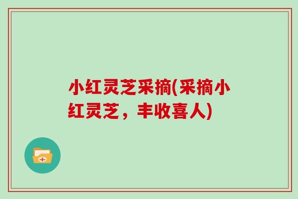 小红灵芝采摘(采摘小红灵芝，丰收喜人)