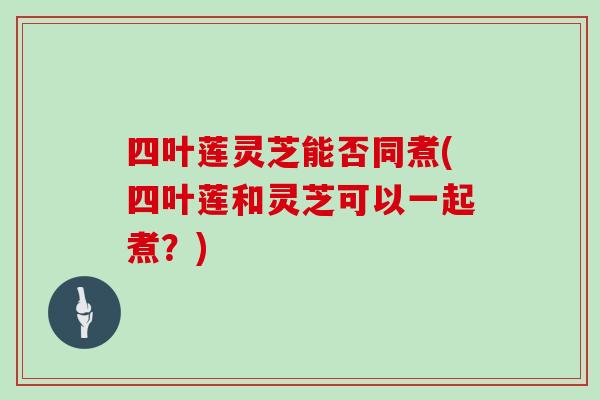 四叶莲灵芝能否同煮(四叶莲和灵芝可以一起煮？)