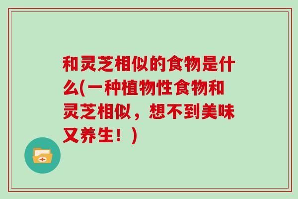 和灵芝相似的食物是什么(一种植物性食物和灵芝相似，想不到美味又养生！)