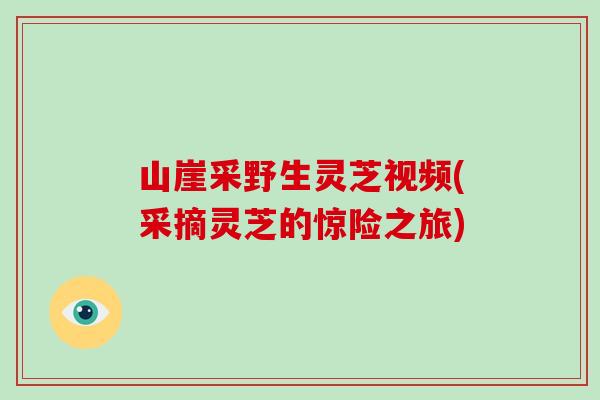 山崖采野生灵芝视频(采摘灵芝的惊险之旅)-第1张图片-灵芝大师 山崖采野生灵芝视频(采摘灵芝的惊险之旅)-第1张图片-灵芝大师