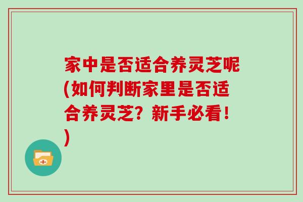 家中是否适合养灵芝呢(如何判断家里是否适合养灵芝?新手必看!)-第1张图片-灵芝大师 家中是否适合养灵芝呢(如何判断家里是否适合养灵芝?新手必看!)-第1张图片-灵芝大师