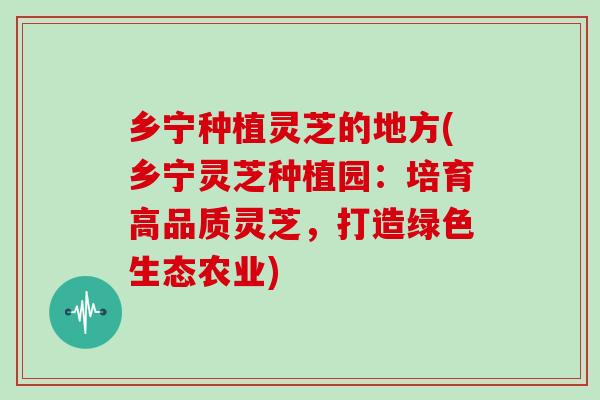 乡宁种植灵芝的地方(乡宁灵芝种植园：培育高品质灵芝，打造绿色生态农业)