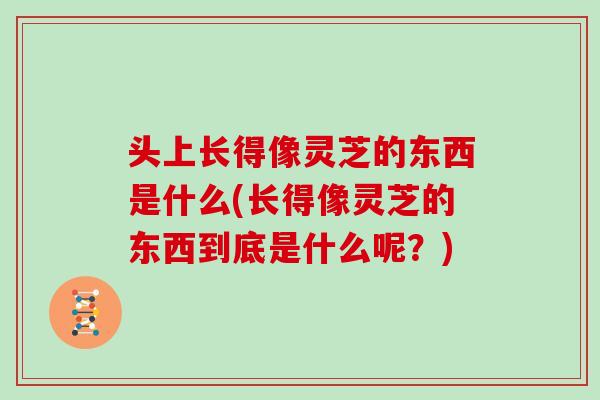 头上长得像灵芝的东西是什么(长得像灵芝的东西到底是什么呢？)