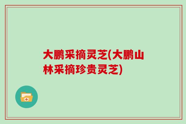 大鹏采摘灵芝(大鹏山林采摘珍贵灵芝)