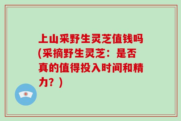 上山采野生灵芝值钱吗(采摘野生灵芝：是否真的值得投入时间和精力？)