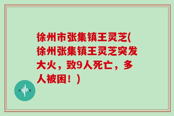 徐州市张集镇王灵芝(徐州张集镇王灵芝突发大火，致9人死亡，多人被困！)
