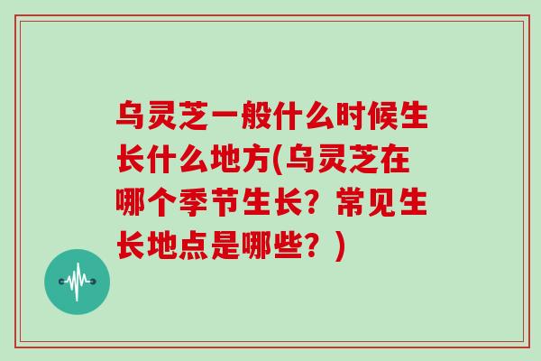 乌灵芝一般什么时候生长什么地方(乌灵芝在哪个季节生长?常见生长地点是哪些?)-第1张图片-灵芝大师 乌灵芝一般什么时候生长什么地方(乌灵芝在哪个季节生长?常见生长地点是哪些?)-第1张图片-灵芝大师