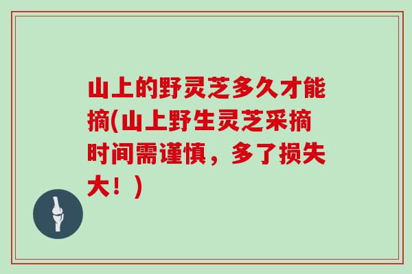 山上的野灵芝多久才能摘(山上野生灵芝采摘时间需谨慎，多了损失大！)