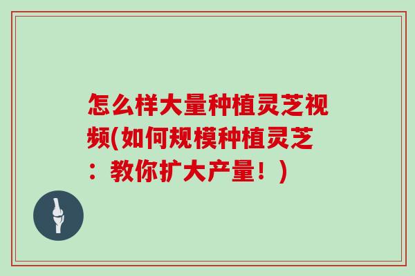 怎么样大量种植灵芝视频(如何规模种植灵芝:教你扩大产量!)-第1张图片-灵芝大师 怎么样大量种植灵芝视频(如何规模种植灵芝:教你扩大产量!)-第1张图片-灵芝大师