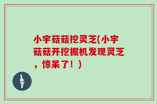 小宇菇菇挖灵芝(小宇菇菇开挖掘机发现灵芝，惊呆了！)
