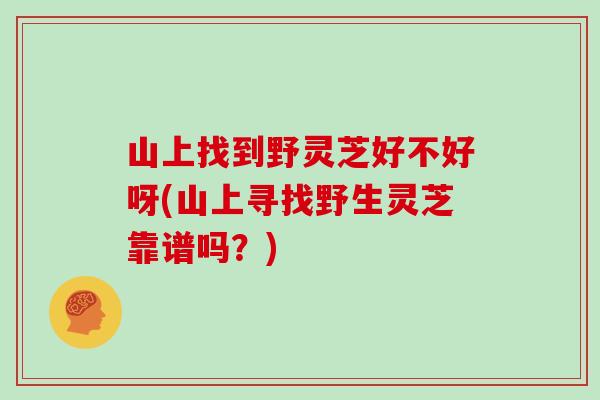 山上找到野灵芝好不好呀(山上寻找野生灵芝靠谱吗？)