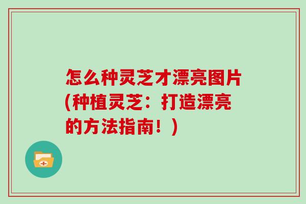 怎么种灵芝才漂亮图片(种植灵芝：打造漂亮的方法指南！)