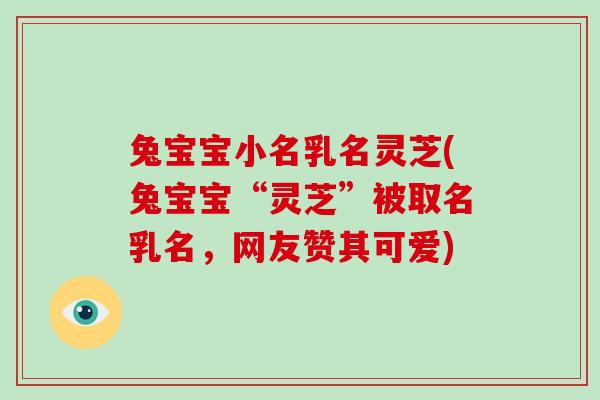 兔宝宝小名乳名灵芝(兔宝宝“灵芝”被取名乳名，网友赞其可爱)