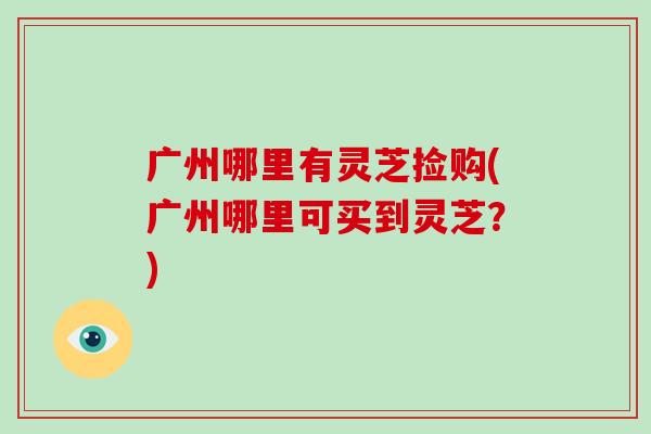 广州哪里有灵芝捡购(广州哪里可买到灵芝？)