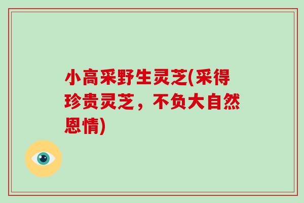 小高采野生灵芝(采得珍贵灵芝,不负大自然恩情)-第1张图片-灵芝大师 小高采野生灵芝(采得珍贵灵芝,不负大自然恩情)-第1张图片-灵芝大师