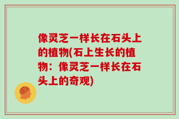 像灵芝一样长在石头上的植物(石上生长的植物：像灵芝一样长在石头上的奇观)