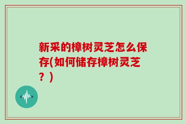 新采的樟树灵芝怎么保存(如何储存樟树灵芝？)