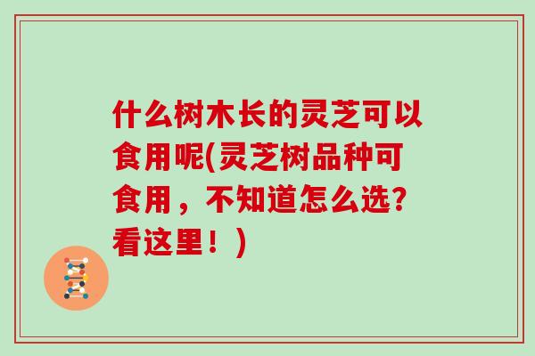 什么树木长的灵芝可以食用呢(灵芝树品种可食用，不知道怎么选？看这里！)