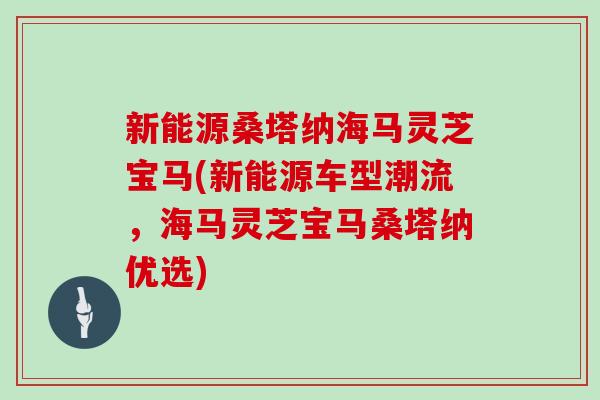 新能源桑塔纳海马灵芝宝马(新能源车型潮流，海马灵芝宝马桑塔纳优选)