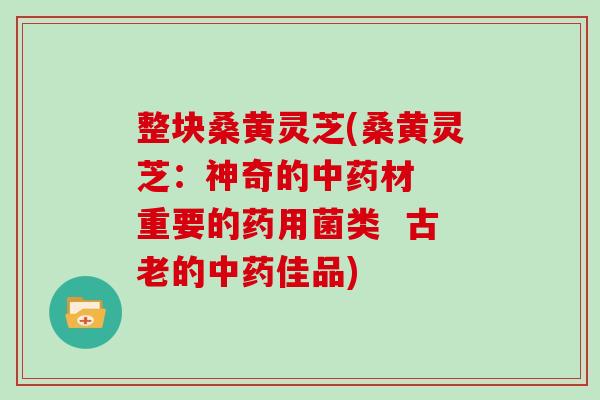 整块桑黄灵芝(桑黄灵芝:神奇的中药材 重要的药用菌类 古老的中药佳品)-第1张图片-灵芝大师 整块桑黄灵芝(桑黄灵芝:神奇的中药材 重要的药用菌类 古老的中药佳品)-第1张图片-灵芝大师