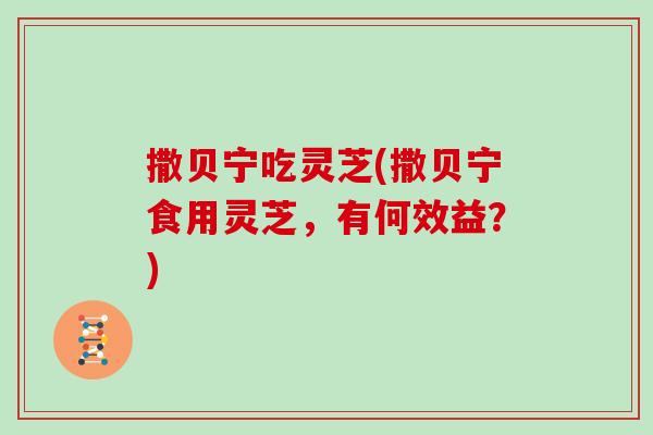 撒贝宁吃灵芝(撒贝宁食用灵芝，有何效益？)