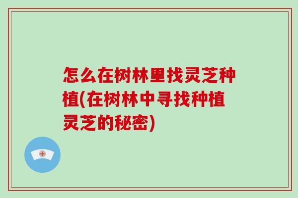 怎么在树林里找灵芝种植(在树林中寻找种植灵芝的秘密)
