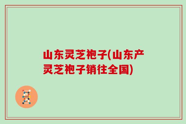 山东灵芝袍子(山东产灵芝袍子销往全国)