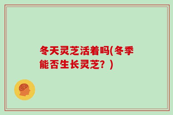 冬天灵芝活着吗(冬季能否生长灵芝？)-第1张图片-灵芝大师