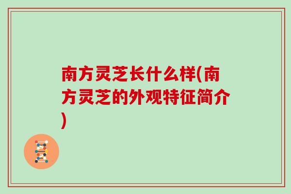 南方灵芝长什么样(南方灵芝的外观特征简介)