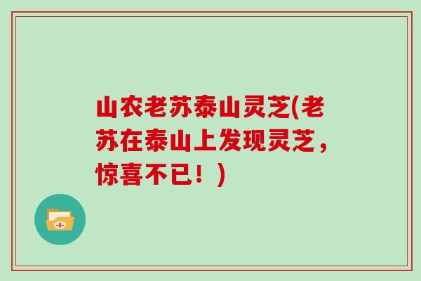 山农老苏泰山灵芝(老苏在泰山上发现灵芝,惊喜不已!)-第1张图片-灵芝大师 山农老苏泰山灵芝(老苏在泰山上发现灵芝,惊喜不已!)-第1张图片-灵芝大师
