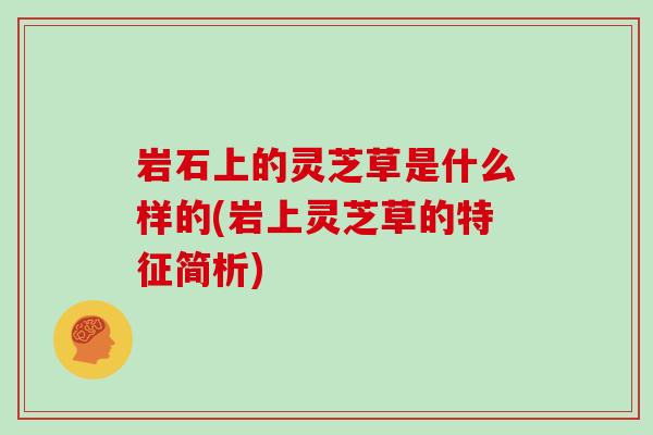 岩石上的灵芝草是什么样的(岩上灵芝草的特征简析)
