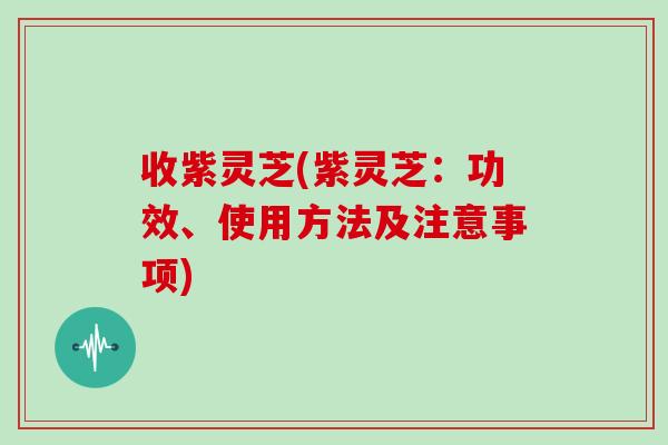 收紫灵芝(紫灵芝：功效、使用方法及注意事项)