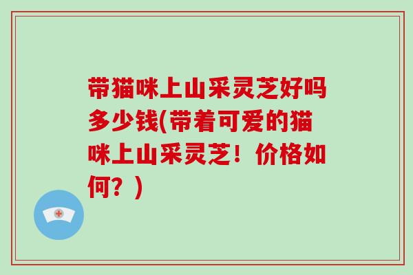 带猫咪上山采灵芝好吗多少钱(带着可爱的猫咪上山采灵芝!价格如何?)-第1张图片-灵芝大师 带猫咪上山采灵芝好吗多少钱(带着可爱的猫咪上山采灵芝!价格如何?)-第1张图片-灵芝大师