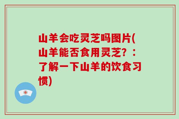 山羊会吃灵芝吗图片(山羊能否食用灵芝?:了解一下山羊的饮食习惯)-第1张图片-灵芝大师 山羊会吃灵芝吗图片(山羊能否食用灵芝?:了解一下山羊的饮食习惯)-第1张图片-灵芝大师