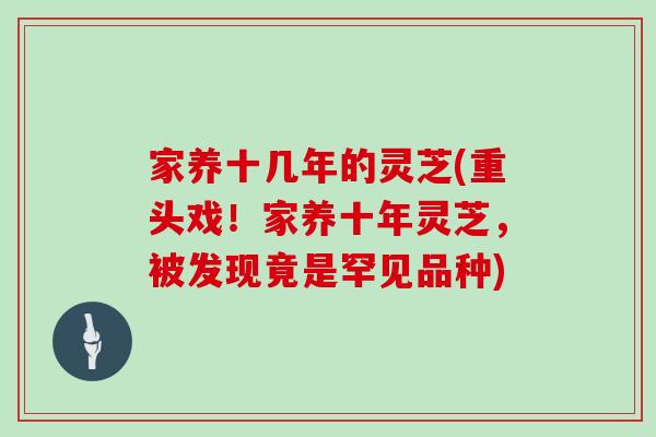 家养十几年的灵芝(重头戏！家养十年灵芝，被发现竟是罕见品种)