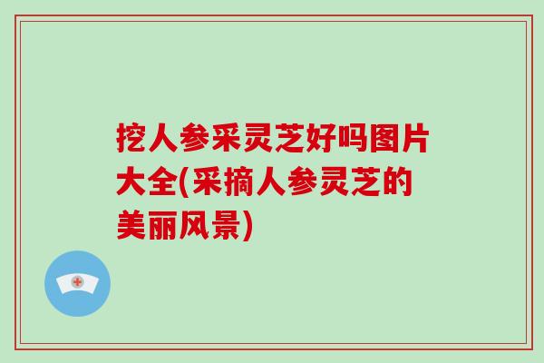 挖人参采灵芝好吗图片大全(采摘人参灵芝的美丽风景)