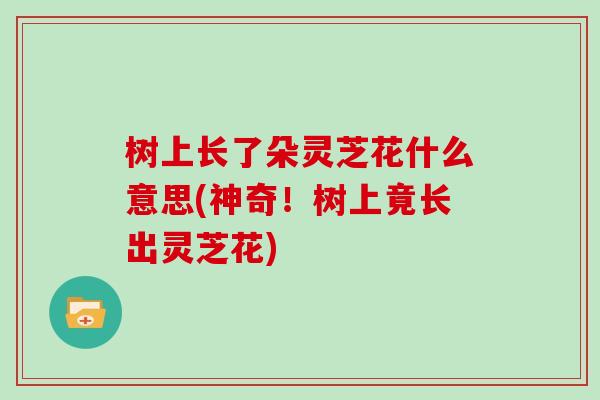 树上长了朵灵芝花什么意思(神奇！树上竟长出灵芝花)