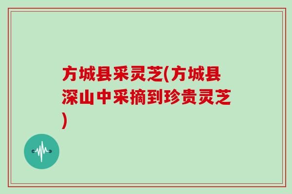 方城县采灵芝(方城县深山中采摘到珍贵灵芝)