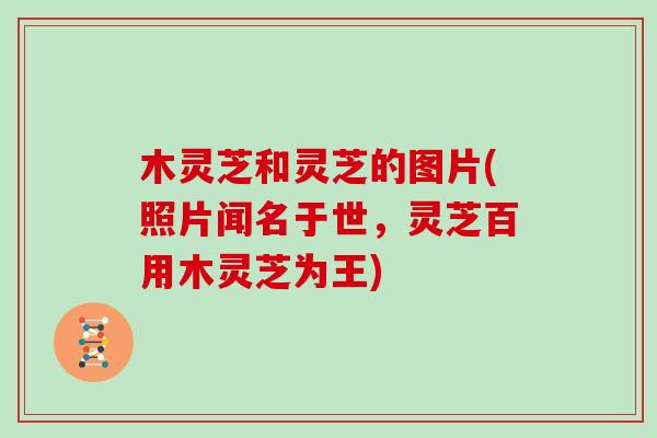木灵芝和灵芝的图片(照片闻名于世，灵芝百用木灵芝为王)