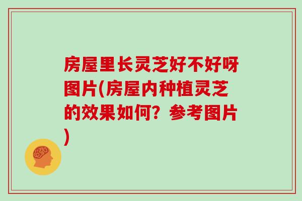房屋里长灵芝好不好呀图片(房屋内种植灵芝的效果如何？参考图片)