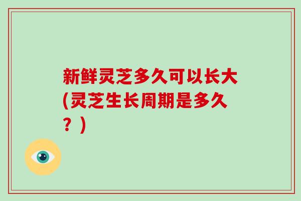 新鲜灵芝多久可以长大(灵芝生长周期是多久？)