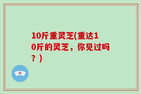 10斤重灵芝(重达10斤的灵芝，你见过吗？)