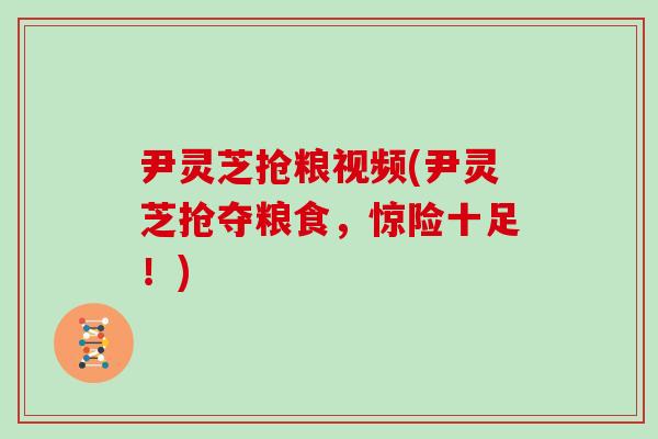 尹灵芝抢粮视频(尹灵芝抢夺粮食，惊险十足！)