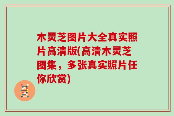 木灵芝图片大全真实照片高清版(高清木灵芝图集，多张真实照片任你欣赏)
