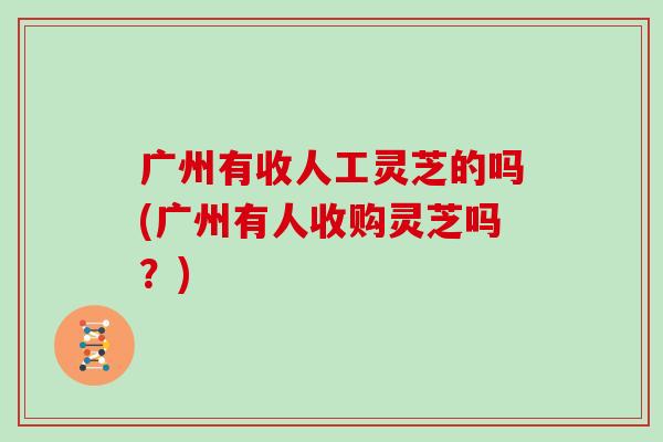 广州有收人工灵芝的吗(广州有人收购灵芝吗？)