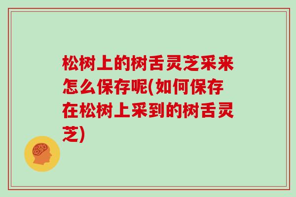 松树上的树舌灵芝采来怎么保存呢(如何保存在松树上采到的树舌灵芝)