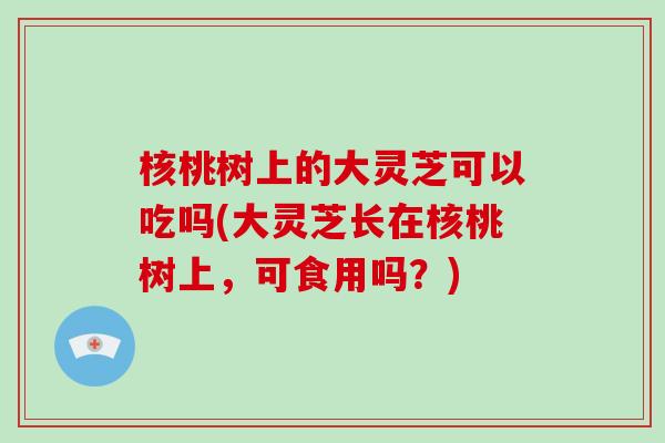 核桃树上的大灵芝可以吃吗(大灵芝长在核桃树上,可食用吗?)-第1张图片-灵芝大师 核桃树上的大灵芝可以吃吗(大灵芝长在核桃树上,可食用吗?)-第1张图片-灵芝大师