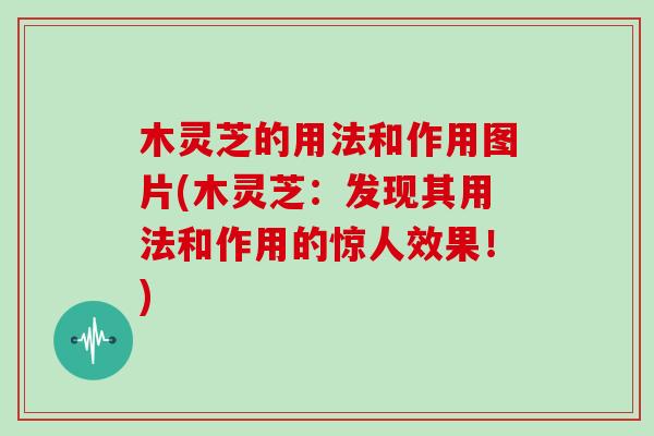 木灵芝的用法和作用图片(木灵芝：发现其用法和作用的惊人效果！)