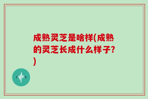 成熟灵芝是啥样(成熟的灵芝长成什么样子？)