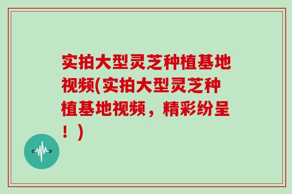 实拍大型灵芝种植基地视频(实拍大型灵芝种植基地视频，精彩纷呈！)